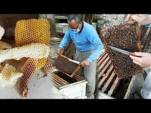 蜂蜜 屬性